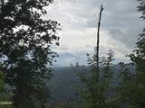 Lot 49 Enclave Park Way - Photo 19