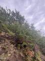 Lot 49 Enclave Park Way - Photo 8