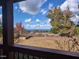 971 Critter Mountain Way - Photo 3