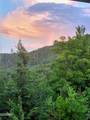 971 Critter Mountain Way - Photo 43