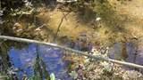 1876 Upper Middle Creek Road - Photo 14