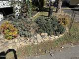4229 Parkway #375 - Photo 5