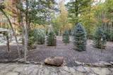 3950 Forest Trail Drive - Photo 111