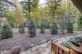 3950 Forest Trail Drive - Photo 115