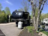 4229 Parkway #164 - Photo 2