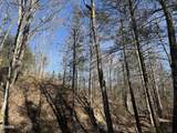 805 Bogard Creek Road - Photo 5