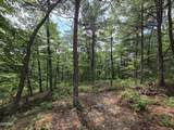 2865/2869 Happy Hollow Road - Photo 81