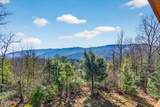 556 Thissa Way - Photo 44
