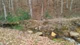 1853 Bluff Mountain Road - Photo 5