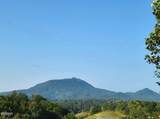 1091 Towering Oaks Drive - Photo 10