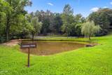 2615 Bear Crossing Way - Photo 61