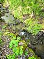 4455 Trail Hollow Road - Photo 10