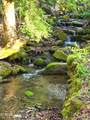 4455 Trail Hollow Road - Photo 11