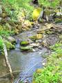 4455 Trail Hollow Road - Photo 8