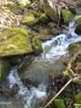 4455 Trail Hollow Road - Photo 9