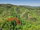 1017/1035 Big Buck Trail - Photo 12
