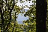 1017/1035 Big Buck Trail - Photo 4