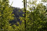 1017/1035 Big Buck Trail - Photo 6