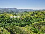 1017/1035 Big Buck Trail - Photo 9