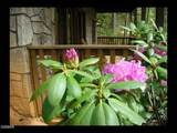 749 Yona Trail Way - Photo 30