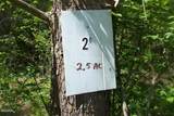 Lot 26 Splendor Way - Photo 3