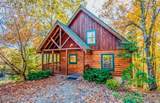 4431 Forest Vista Way - Photo 2