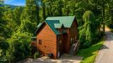 1167 Upper Alpine Way - Photo 8