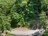 Lot 0006 Wildcat Ridge Road - Photo 1