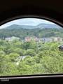 2205 Battle Hill Road - Photo 107