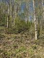000 Esslinger & Low Gap - Photo 12