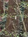 000 Esslinger & Low Gap - Photo 21