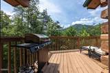 3152 Hatcher Top Road - Photo 10
