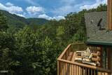 3152 Hatcher Top Road - Photo 9