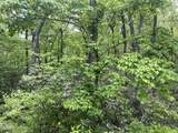 Lot 3 Old Cartertown Rd (4.49 Acres) Road - Photo 15