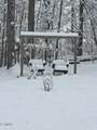 1016 Country Mountain Road - Photo 39