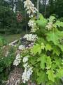 1016 Country Mountain Road - Photo 41