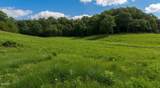 00 Rhyne Camp Road - Photo 49