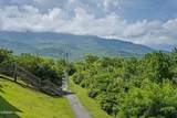 3710 Weber Road - Photo 30