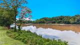 2249 Binginham Island - Photo 36
