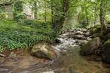 211 Webb Creek Skyline Drive - Photo 1