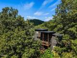 1870 Mountain Ash Way - Photo 64