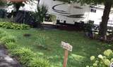 4229 Parkway #374 - Photo 7