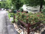 4229 Parkway #374 - Photo 8