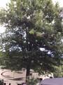 4229 Parkway #374 - Photo 9