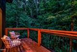 2665 Black Walnut Flats Road - Photo 26