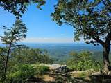 2820 Dupont Springs Road - Photo 1