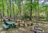 2561 Black Bear Lane - Photo 3