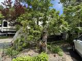4229 Parkway #376 - Photo 8