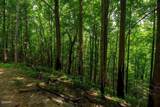 Lot 13A Sugar Maple Loop Road - Photo 5