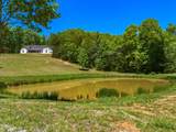 1670 Bays Mountain Road - Photo 52
